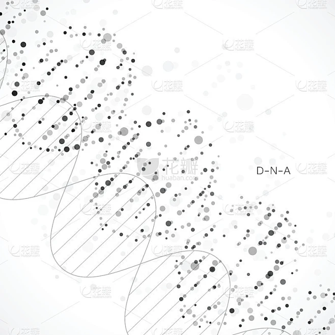 摘要DNA的背景。矢量插图。优美的螺旋结构素材-花瓣网
