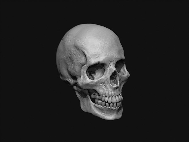 Skull Sculpture, Ben...