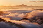 Foggy Mornings : Foggy mornings in the Bohemian Switzerland, Czech Republic.