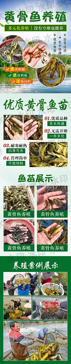 渔之情黄骨鱼（头条）水印