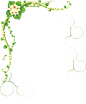绿色树藤藤蔓树叶花藤枯枝藤条透明免抠PNG图案图片 PS设计素材 (97)