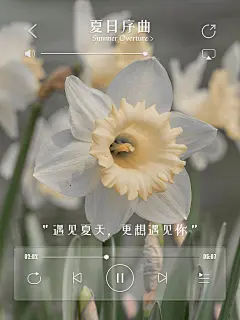 夏天风景晒图晒照花界面风plog模板