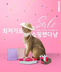 淑女打扮小猫购物礼品礼物萌宠海报