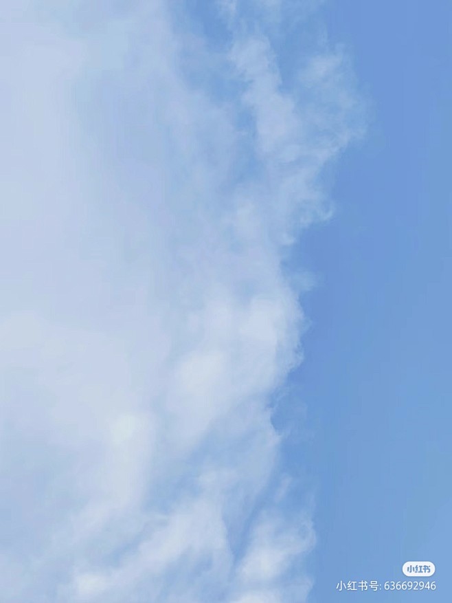 夏季蓝色小清新背景 (2)