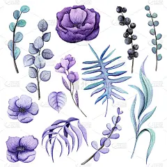 一套水彩蕨类和花