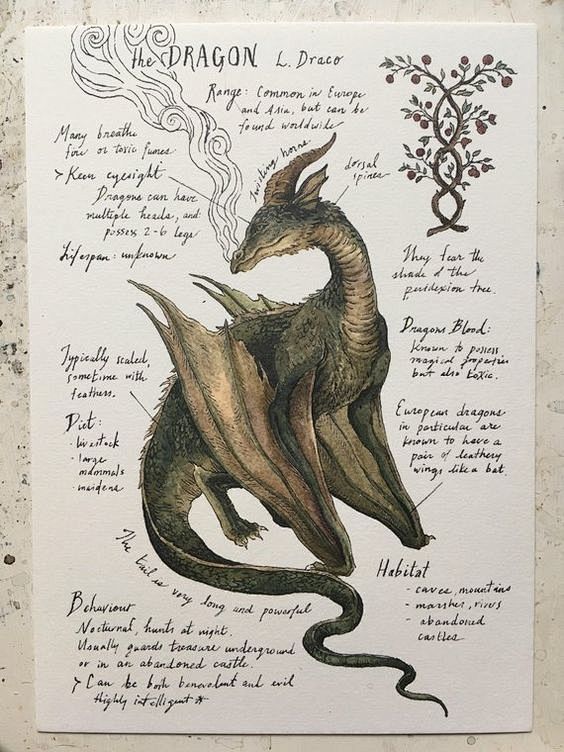 Natural Study Dragon...