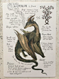 Natural Study Dragon Print 5x7"