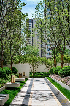 植物小生采集到景观·轴线式入口