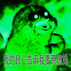 鹦鹉兄弟良心系列表情包