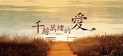 浪漫爱情婚纱背景 免费下载 页面网页 平面电商 创意素材 png图片