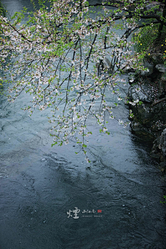 糖荳采集到风景