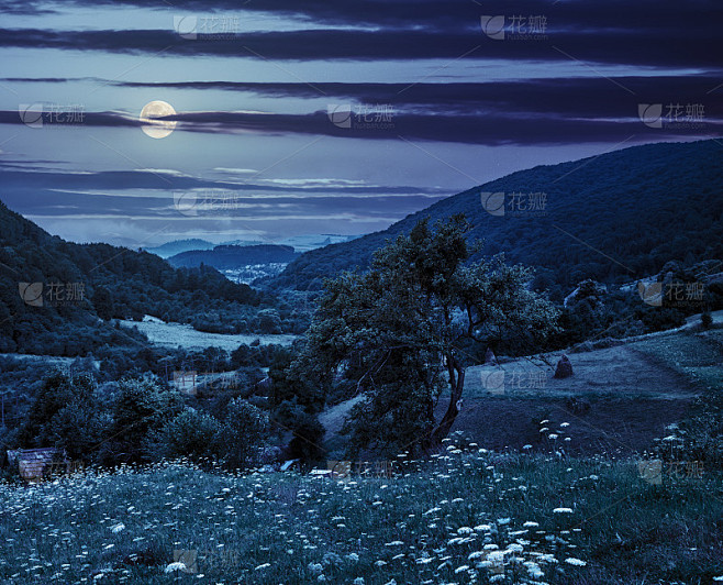 夜间在山上的农田上种树图片_山川河流图片图片素材-花瓣网