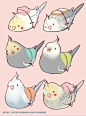 Goodbye people in going to find these birbs and make them my friends and hunt down all enemies