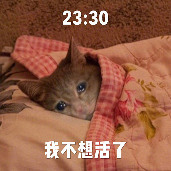 这不就是首页部分#成年人一天的心情# ​...