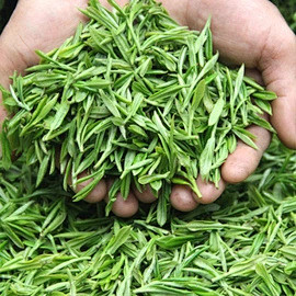 绿茶2017新茶散装毛尖茶蒙顶山茶绿毛峰...