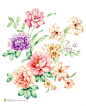 花朵 水粉手绘