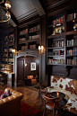 Antique & modern library/ Francesca Owings Interior Design. Ashely Avila photo.