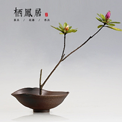 花瓣文文采集到日式插花