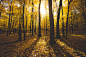 【美图分享】Rob Sese的作品《autumn glow》 #500px# @500px社区