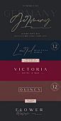 Germany Luxury Script Font为各种设计项目提供美丽的排版和谐，包括徽标和品牌，婚礼设计，社交媒体帖子，广告和产品设计。