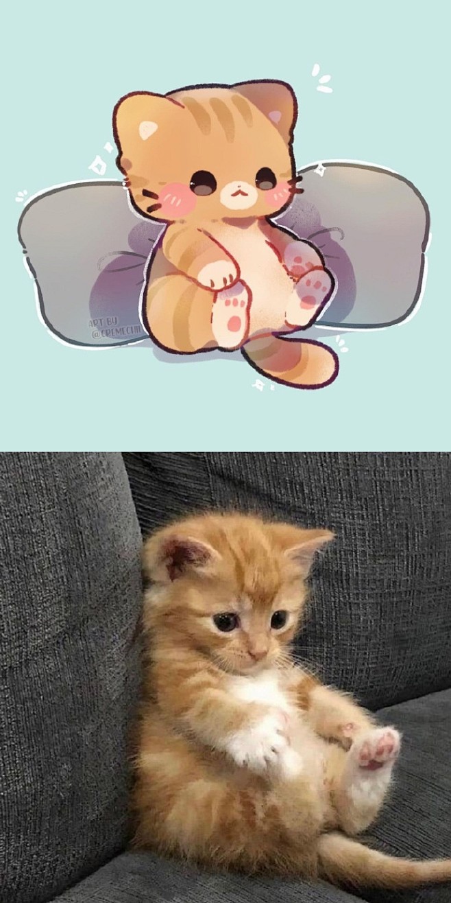 #当猫猫被漫画化# 实在太可爱了！ ​​...
