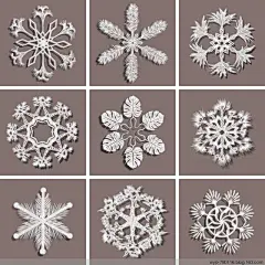 华裔女艺术家逆天的现代剪纸 -  三月飞春雪 - 三月飞春雪