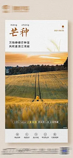 【仙图网】海报 插画 二十四节气 芒种 小满 麦子 麦穗 简约 绘画 手绘|1037280 