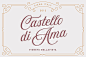 Aurora Script: Aurora Script was handwritten under inspiration of traditional calligraphy and wonderful mystic soundtrack of Wojciech Kilar. In addition, I also made some decorative frames that enhance the character of the font. In general, it creates a l