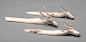Swimming caribou made of antler - on display in our galleries now.: 