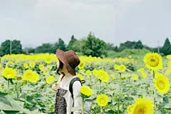 韶华不为少年留。恨悠悠。几时休。飞絮落花时候、一登楼。便做春江都是泪， 流不尽，许多愁。
