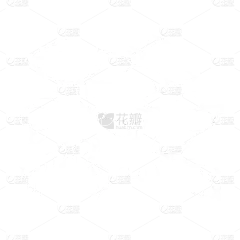 SVG-婚礼白色花卉元素贴纸