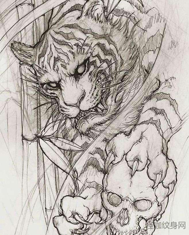 老虎纹身手稿线条图片