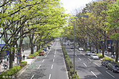 别墅花园设计师采集到道路