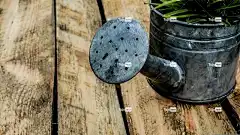 喷壶 花园 盒子 自然 木头 花卉背景 花壁纸 美丽的花朵 花朵