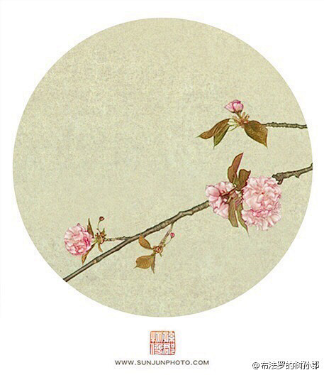 来自相册