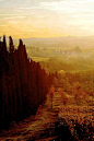 Autumn near Florence