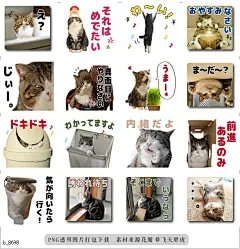b@飞天胖虎 line贴图表情包贴纸Maru  全世界具人气的社交网络之王，小猫&quot;Maru&amp;quo