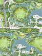 城市滨水公园PS彩色平面图生态湿地景观规划设计PSD分层彩平素材