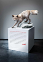 Honda Genuine Parts: Arctic Fox