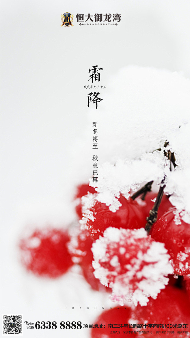 霜降微信单图