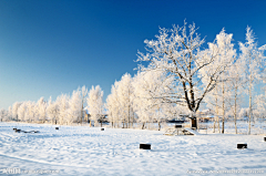 人称子墨采集到场景素材——冰雪