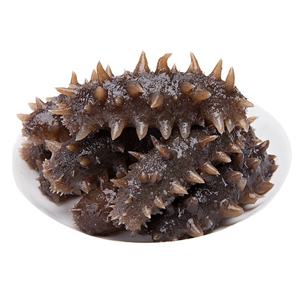 御参岛 即食海参无添加剂 纯深海野生刺参海渗礼盒500g 大连辽参