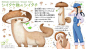 #灵感的诞生# 这些蔬菜妖怪太治愈了……

日本插画师ぽん吉制作的「野菜の妖精さん」图鉴，他将喜爱的动物们与蔬菜结合，合成可爱的新物种，看完超级治愈。 ​​​ ​​​​