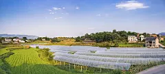IMG_1008-1