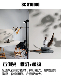 FANSHUXI采集到静物摄影技巧