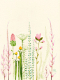 Garden original watercolorSALE by zuhalkanar