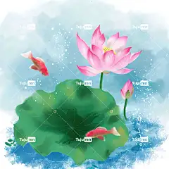 荷叶荷花插画手绘元素唯美