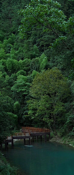 爱剥皮的橘子采集到c4d参考--风景