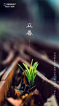 节气/节日ღ