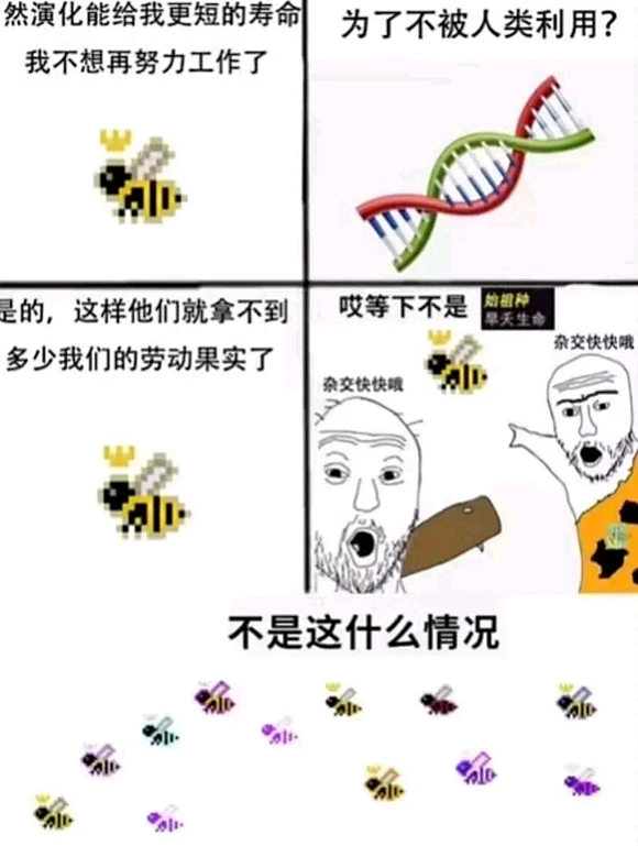 兄弟们，留下你们最难绷的图_吊图吧_百度贴吧-花瓣网